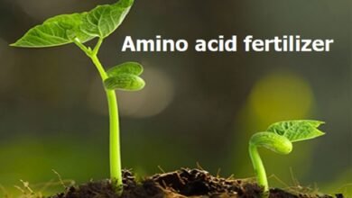 Amino acid fertilizer