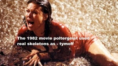 the 1982 movie poltergeist used real skeletons as - tymoff