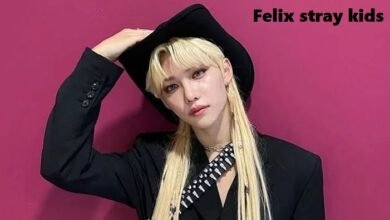 felix stray kids